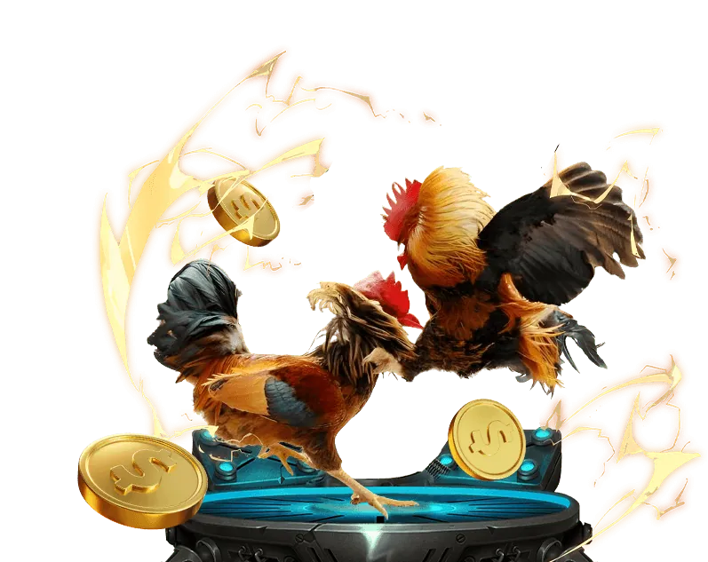 Sẵn sàng tham gia f1686n và giành chiến thắng